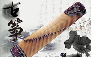 上海森辉乐器有限公司