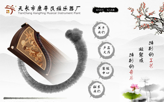 天长市康平民族乐器厂